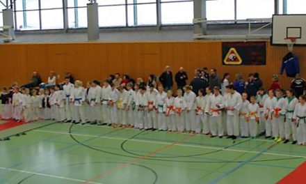 Landesmeisterschaften Ju-Jitsu 2014 in Stendal