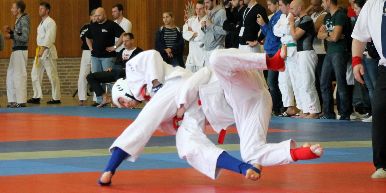 1. DHM Ju-Jitsu 2013 in Aachen