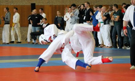 1. DHM Ju-Jitsu 2013 in Aachen