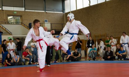 1.DHM Ju-Jitsu in Aachen