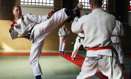 Kadertraining, März 2011 in Magdeburg