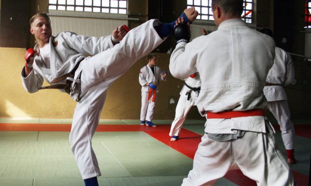 Kadertraining, März 2011 in Magdeburg