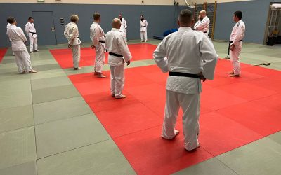 Stützpunkttraining Hanbo-Jutsu
