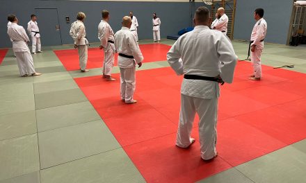 Stützpunkttraining Hanbo-Jutsu